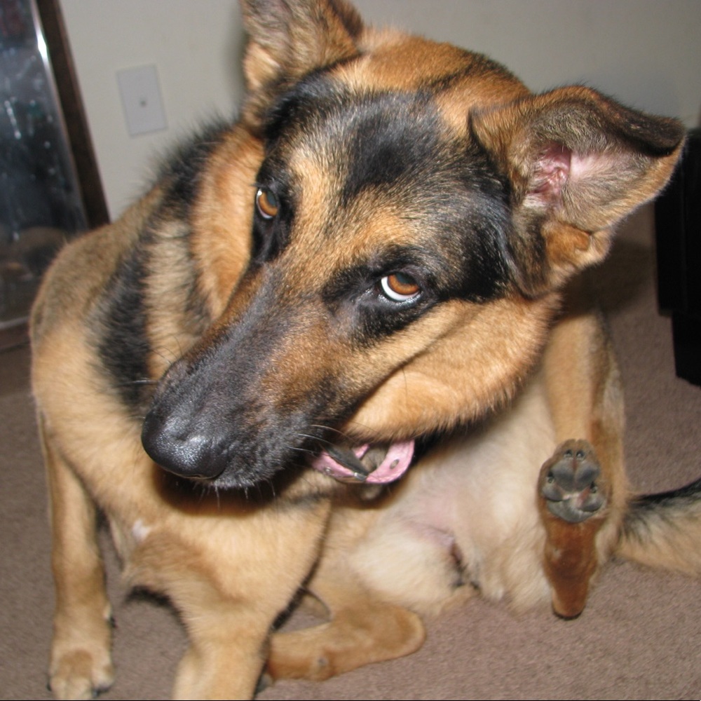 Meet your Posher, Valeria